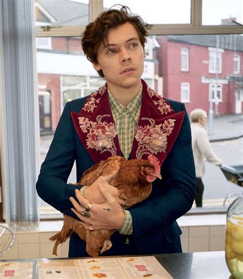 Harry Styles Gucci wardrobe